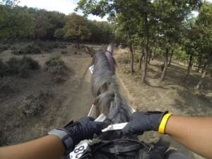 cámara deportiva para equitación